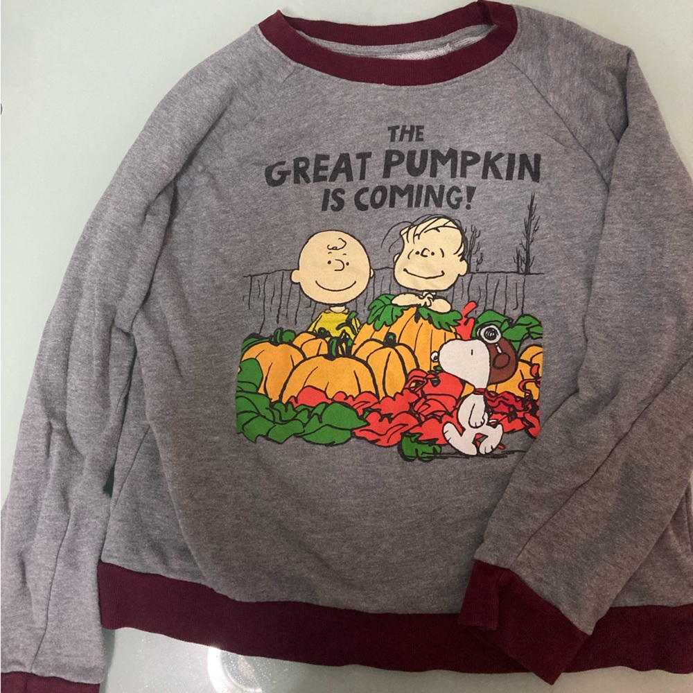 Peanuts Sweater